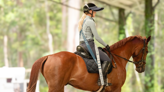Dressage rider in sitting trot showing balance, feel and rhythm with the horse