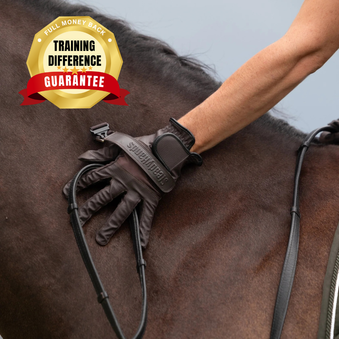 SteadyHands Riding Gloves - BROWN
