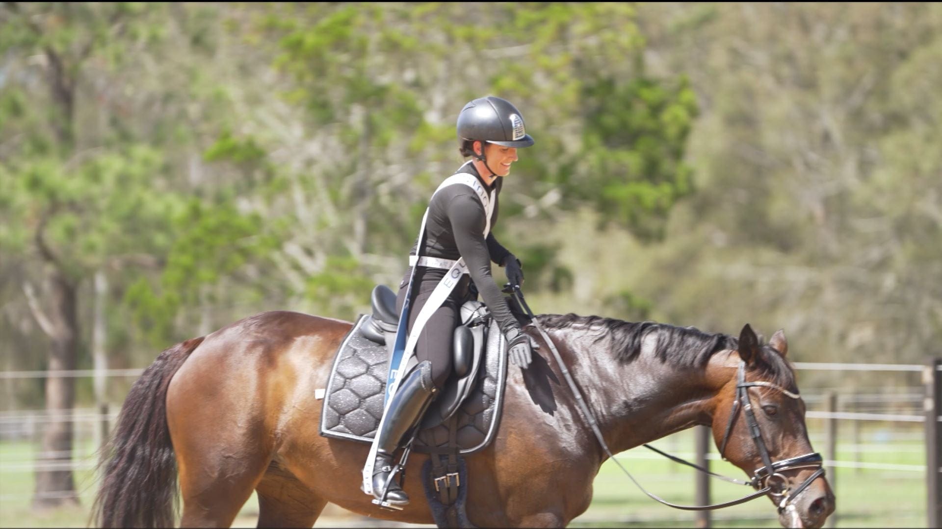 EQUISK - Training Gear for Equestrians - For Serious Horse Riders